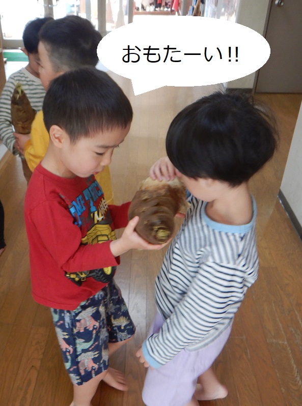 大羊02