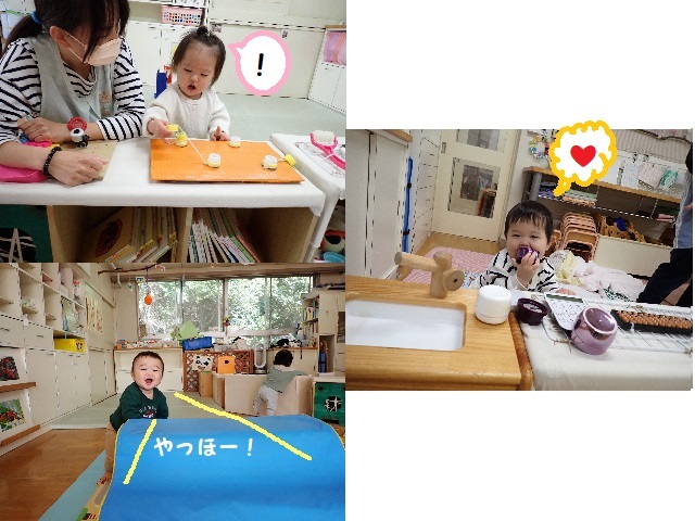 2024ぶどうチームスタート！