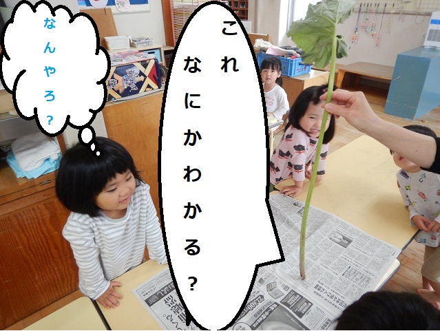 春の食材！これ、な～んだ？