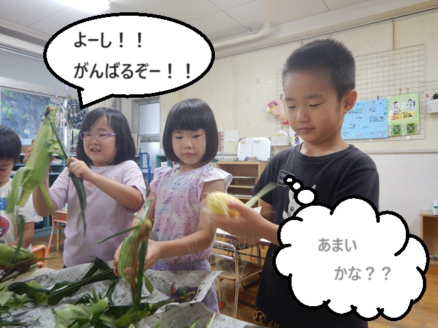 もろこし2
