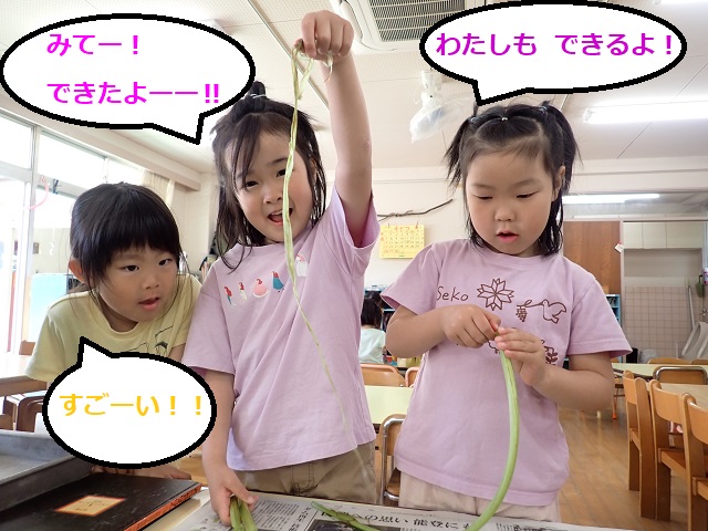 ふき9