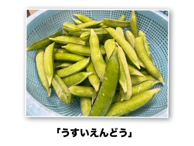 豆むきをしたよ！