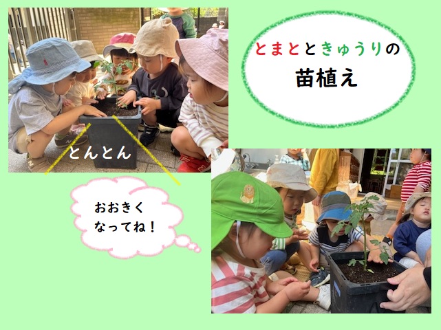 5月のゆりさん