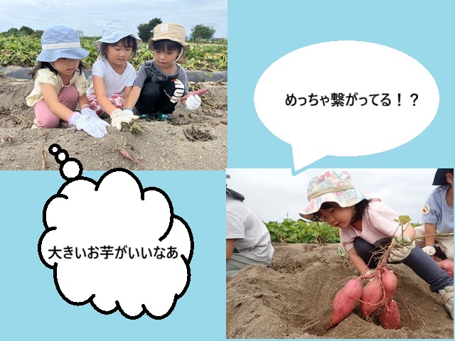 でぶいもちゃん土の中で何してた～のっ♪