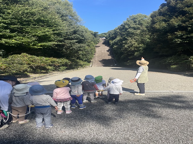 11月のゆりさん