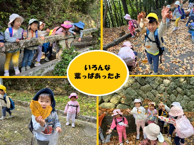 11月　　　山登り